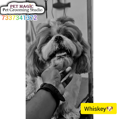 PetMagic Grooming Studio